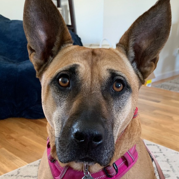 Meet your Posher, Kristina - Picture 1 of 1